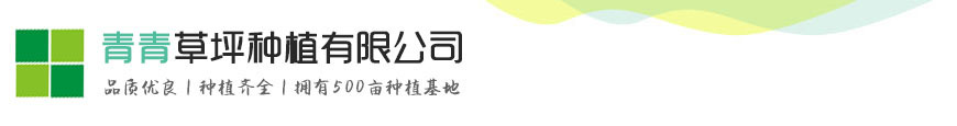 九游会j9登录入口首页